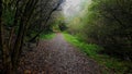 A nature reserve with a very different past. Once this was a bustling railway junction